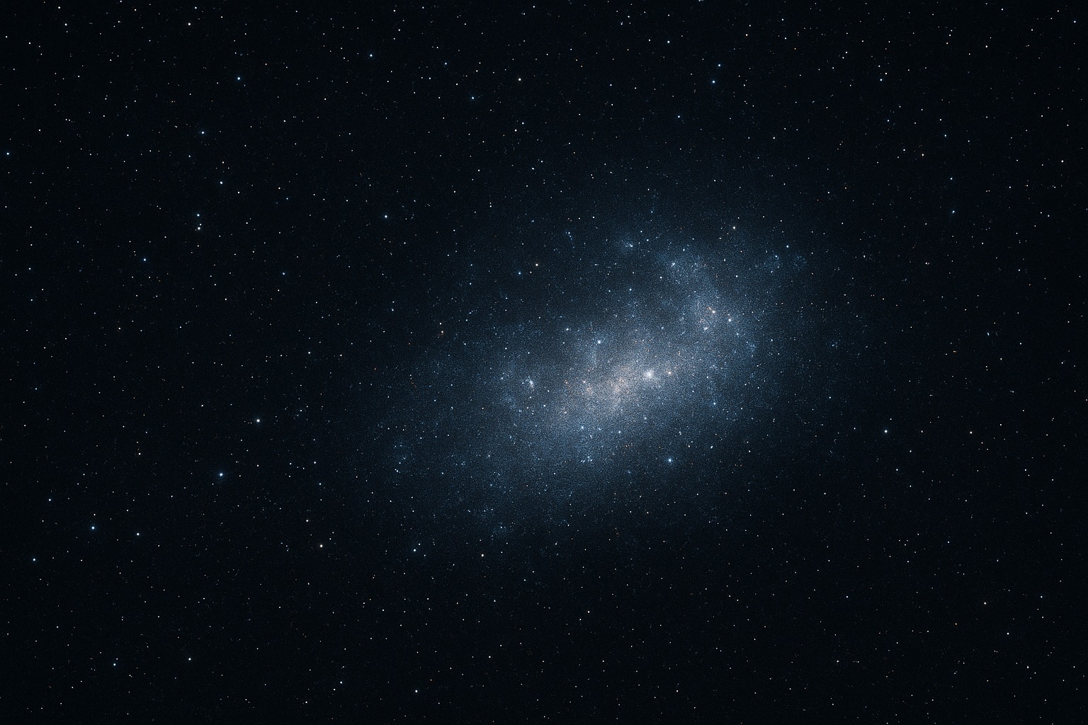 Large Magellanic Cloud